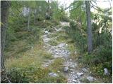 Stara Fužina - Planina Krstenica